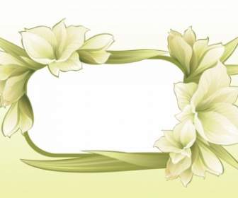 Green Flower Lace Vector