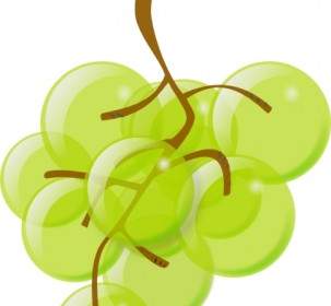 Green Grapes Clip Art