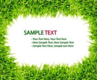 Green Grass Background Hd Picture
