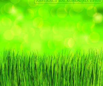 緑の草の背景のベクトル