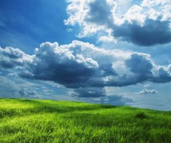 صورة السماء الزرقاء العشب الأخضر