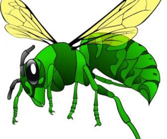 Clip Art De Green Hornet