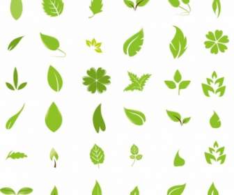 Elementos De Design De Folha Verde