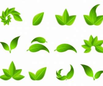 Green Leaf Icons