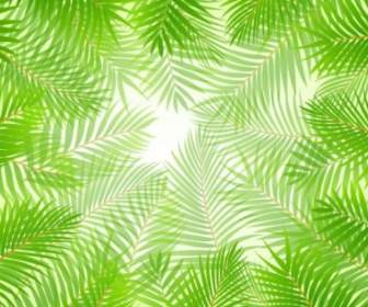 Green Leaves Theme Background Vector