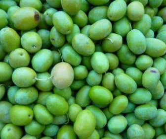 Green Olives Olives Immature