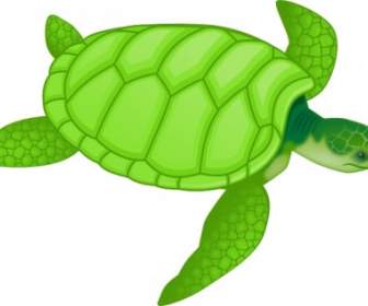 Grüne Meeresschildkröte ClipArt