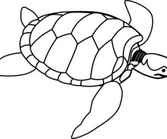 Green Sea Turtle Line Art