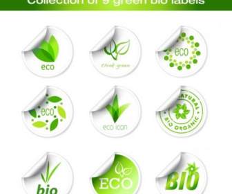 Green Sticker Icon Vector