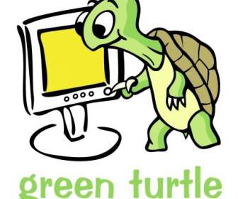 綠海龜