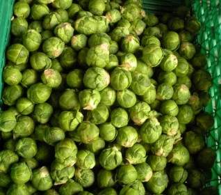 Greengrocer Brussels Sprouts Fresh