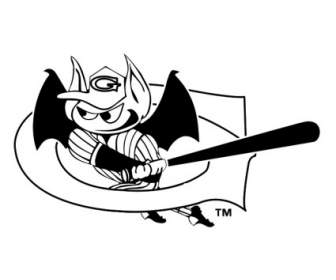 Morcegos De Greensboro