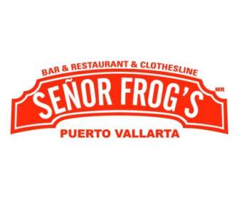Grupo Andersons Senor Frogs Puerto Vallarta