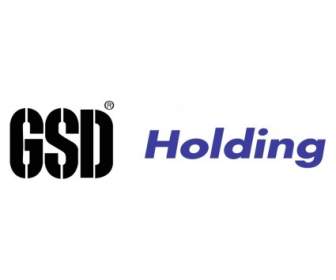 GSD Holding