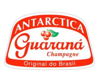 Guaraná Champanhe
