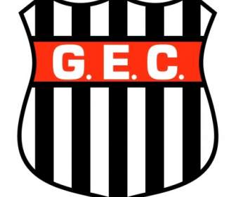 Tiếng Guarani Esporte Clube De Blumenau Sc