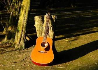 Gitarre Am Baum