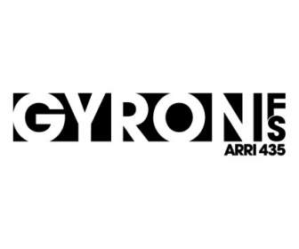 Gyron Fs