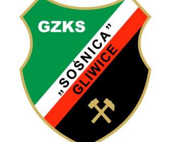 Gzks Sosnica Gliwice