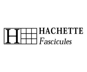 Fascicules Hachette