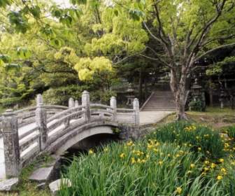 Hagi Schloss Garten Tapete Japan Welt