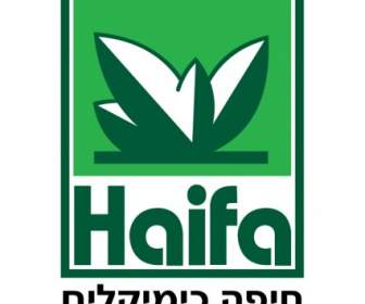 Química De Haifa