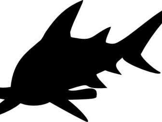 Clipart De Tubarão Martelo