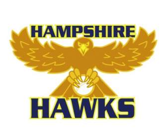 Hawks De Hampshire