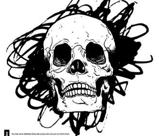 Cranio Vettoriali Disegnati A Mano