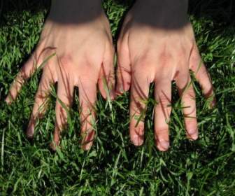 рука руками трава