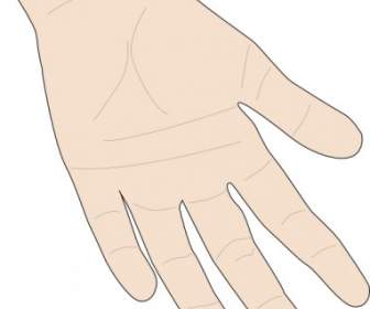 Hand-Palm-ClipArt-Grafik