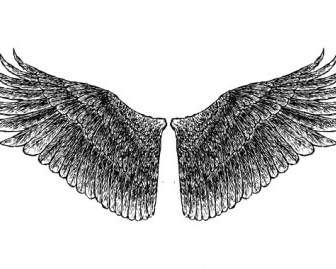 Handdrawn Flügel
