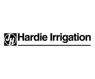 Irrigação De Hardie