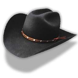 كاوبوي قبعة سوداء