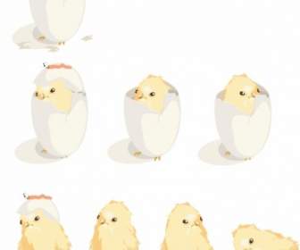 Hatched Chicks Vector