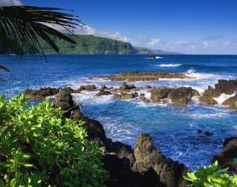 Hawaii Scenic Ocean