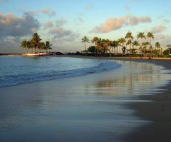 Hawaii Waikiki Spiaggia Di Sabbia