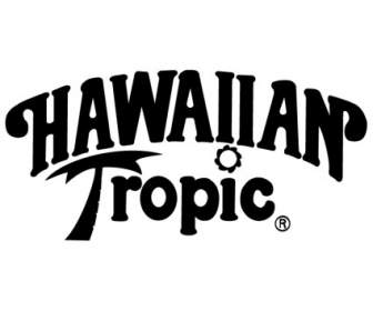 Hawaii Tropic