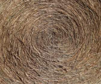шаблон текстуры тюков сена