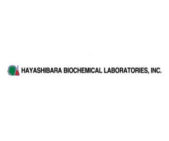 هاياشيبارا مختبرات الكيمياء الحيوية