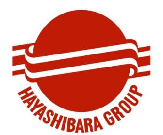 Hayashibara Grubu