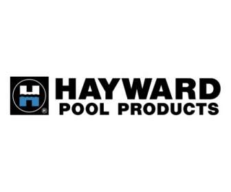 ผลิตภัณฑ์สระว่ายน้ำ Hayward