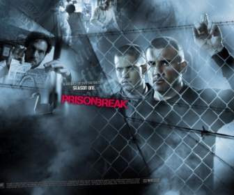 Haywire Burrows Scofield Filmes Do Papel De Parede Prisão Break