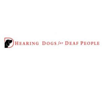 聴覚障害者の人々 のための聴導犬