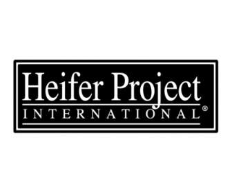 Proyecto Heifer