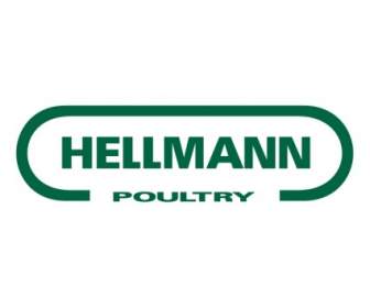Hellmann Pollame
