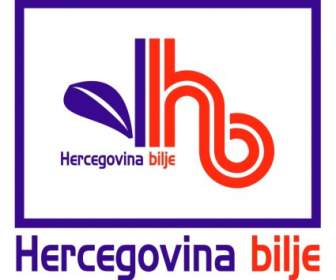 Herzegovina Bilje