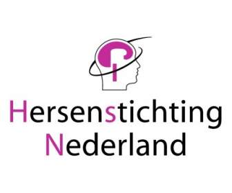 Hersenstichting オランダ