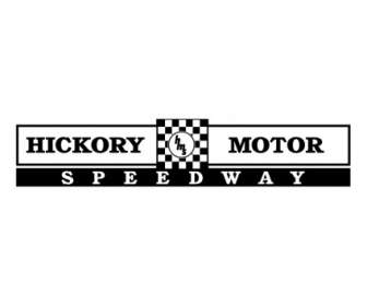 Motor Speedway D'Hickory