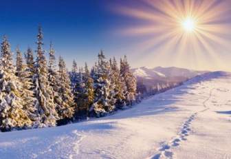 冬の風景の写真を高精細溶融